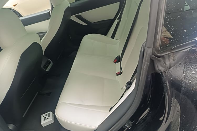 Used Tesla Model 3 2020 Standard Range Rear-Wheel Drive Upgraded Version Left Rear Seat