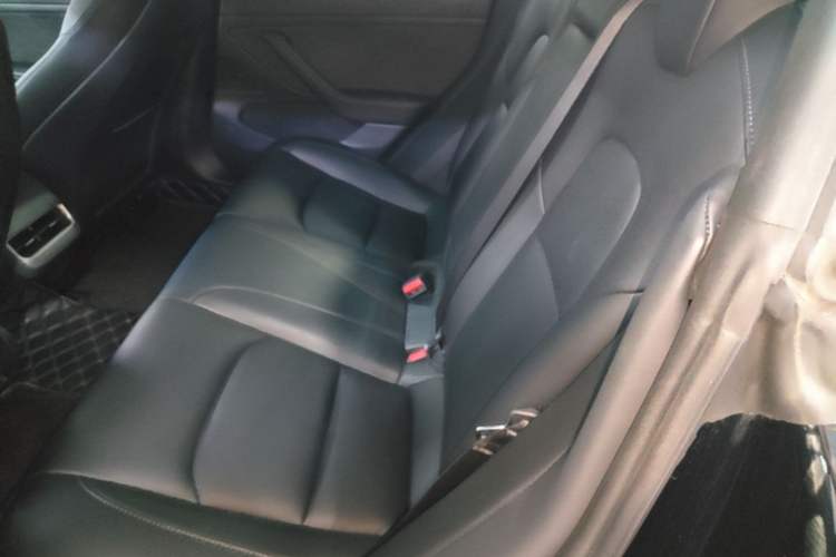 Used Tesla Model 3 2020 Standard Range Rear-Wheel Drive Upgraded Version Left Rear Seat