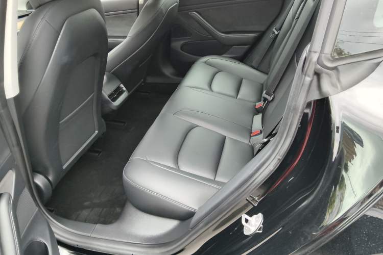 Used Tesla Model 3 2020 Revised Version Standard Range Rear-Wheel Drive – Upgraded Edition Left Rear Seat