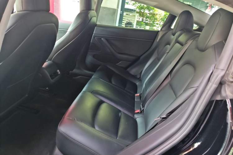 Used Tesla Model 3 2020 Revised Version Standard Range Rear-Wheel Drive – Upgraded Edition Left Rear Seat
