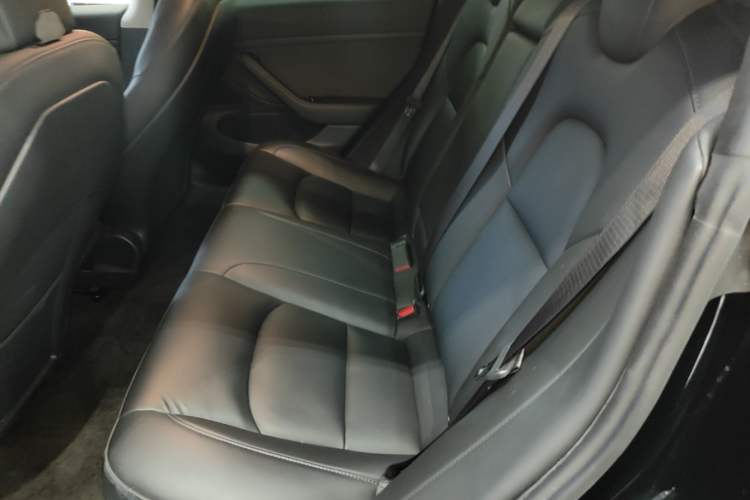 Used Tesla Model 3 2020 Revised Version Standard Range Rear-Wheel Drive – Upgraded Edition Left Rear Seat