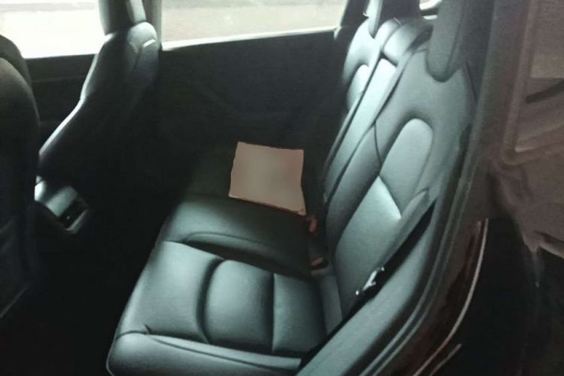 Used Tesla Model 3 2020 Revised Version Standard Range Rear-Wheel Drive – Upgraded Edition Left Rear Seat