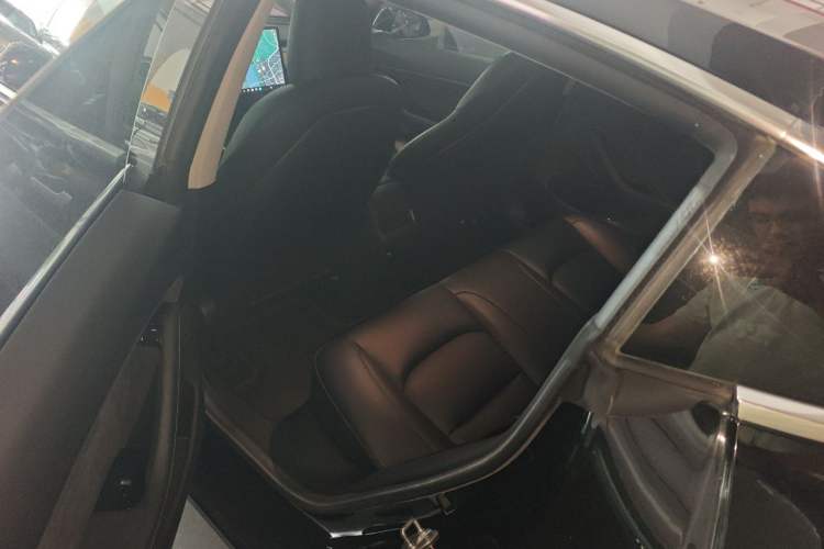 Used Tesla Model 3 2020 Standard Range Rear-Wheel Drive Upgraded Version Left Rear Seat