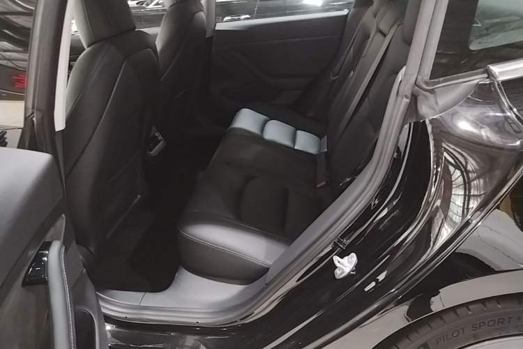 Used Tesla Model 3 2020 Standard Range Rear-Wheel Drive Upgraded Version Left Rear Seat