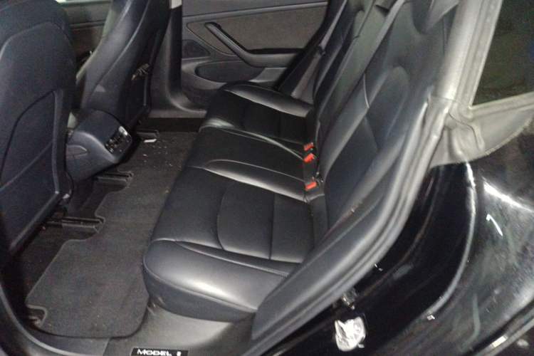 Used Tesla Model 3 2020 Standard Range Rear-Wheel Drive Upgraded Version Left Rear Seat