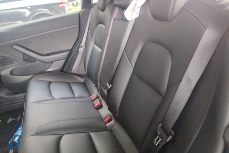 Used Tesla Model 3 2020 Standard Range Rear-Wheel Drive Upgraded Version Left Rear Seat