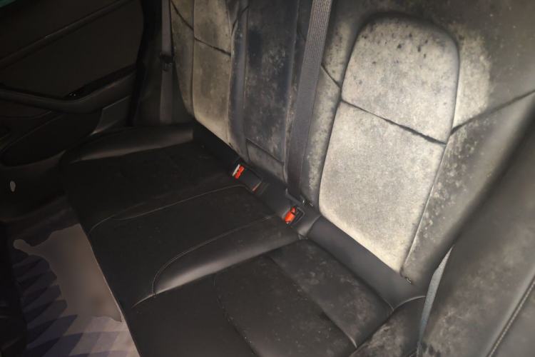 Used Tesla Model 3 2020 Revised Version Standard Range Rear-Wheel Drive – Upgraded Edition Left Rear Seat