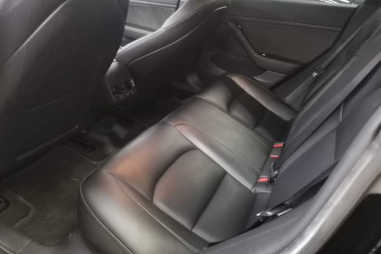 Used Tesla Model 3 2020 Long-Range Rear-Wheel-Drive Version Left Rear Seat