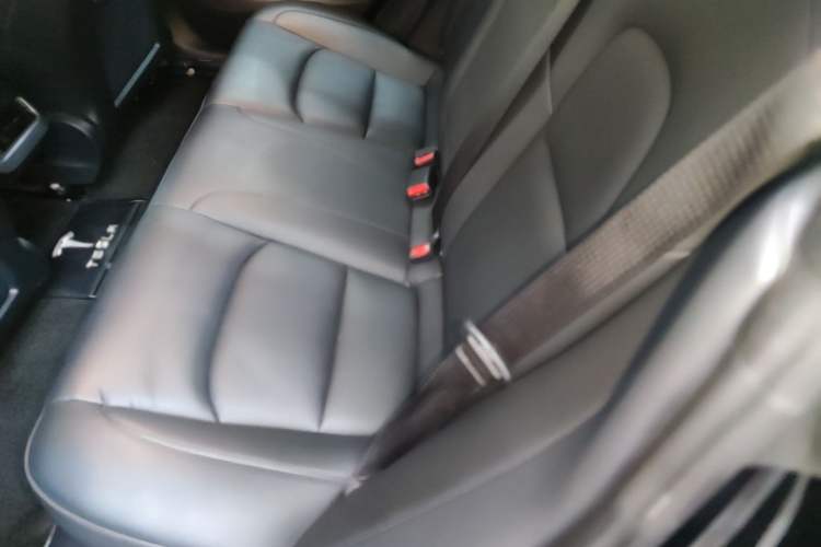 Used Tesla Model 3 2020 Revised Version Standard Range Rear-Wheel Drive – Upgraded Edition Left Rear Seat