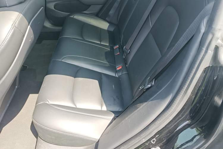 Used Tesla Model 3 2020 Standard Range Rear-Wheel Drive Upgraded Version Left Rear Seat