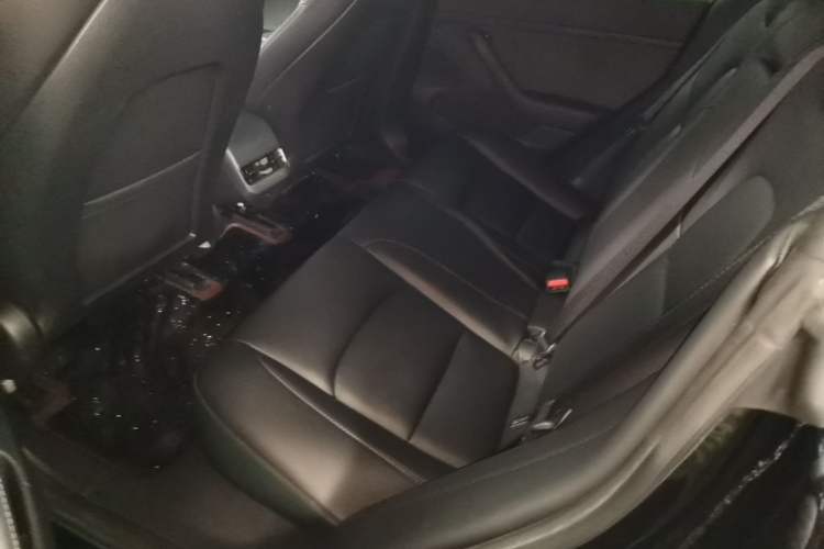 Used Tesla Model 3 2020 Standard Range Rear-Wheel Drive Upgraded Version Left Rear Seat