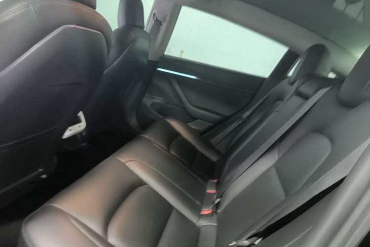 Used Tesla Model 3 2020 Standard Range Rear-Wheel Drive Upgraded Version Left Rear Seat