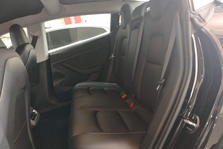 Used Tesla Model 3 2020 Standard Range Rear-Wheel Drive Upgraded Version Left Rear Seat