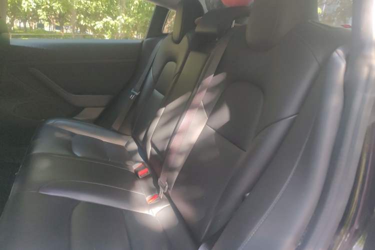 Used Tesla Model 3 2020 Long-Range Rear-Wheel-Drive Version Left Rear Seat