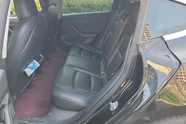 Used Tesla Model 3 2020 Revised Version Standard Range Rear-Wheel Drive – Upgraded Edition Left Rear Seat