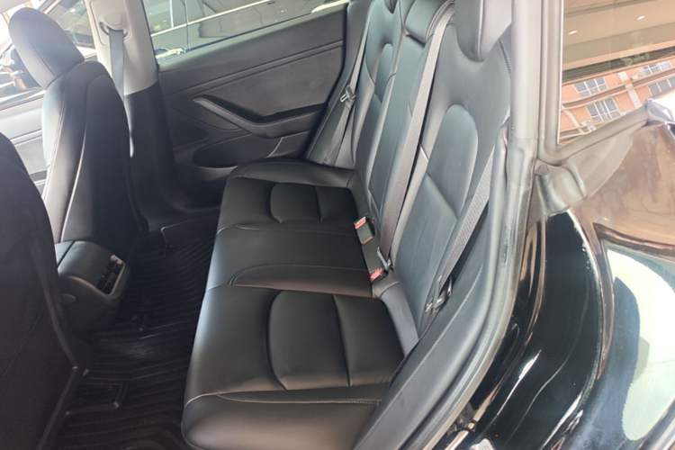 Used Tesla Model 3 2020 Long-Range Rear-Wheel-Drive Version Left Rear Seat