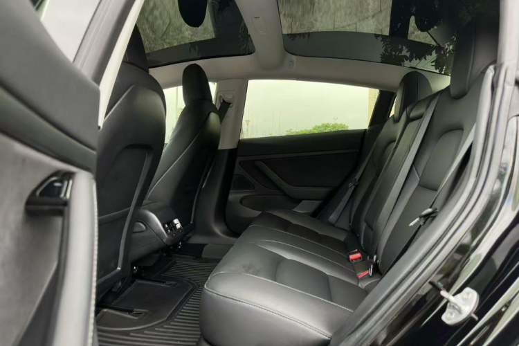 Used Tesla Model 3 2020 Revised Version Standard Range Rear-Wheel Drive – Upgraded Edition Left Rear Seat
