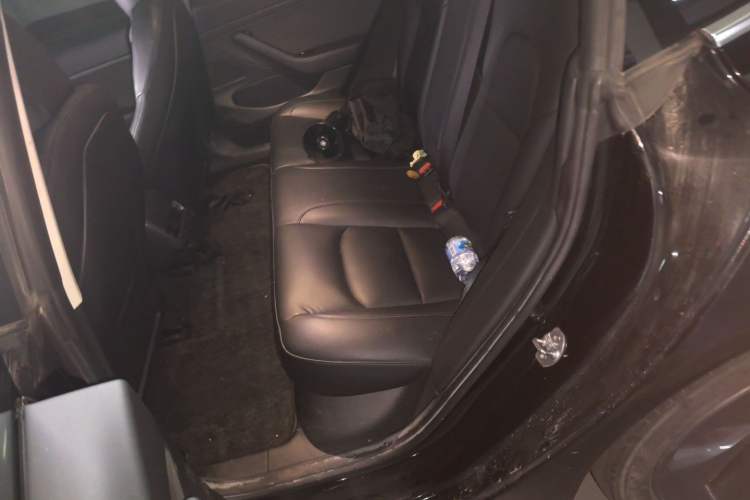 Used Tesla Model 3 2020 Revised Version Standard Range Rear-Wheel Drive – Upgraded Edition Left Rear Seat