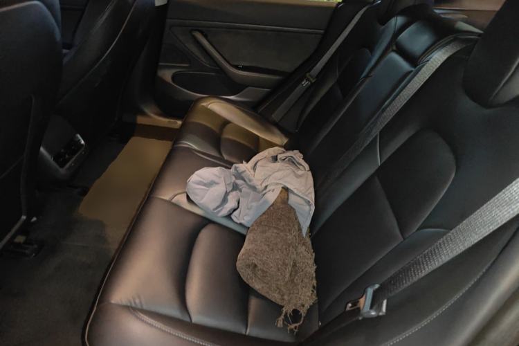 Used Tesla Model 3 2020 Long-Range Rear-Wheel-Drive Version Left Rear Seat
