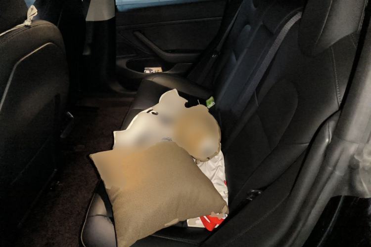 Used Tesla Model 3 2020 Revised Version Standard Range Rear-Wheel Drive – Upgraded Edition Left Rear Seat