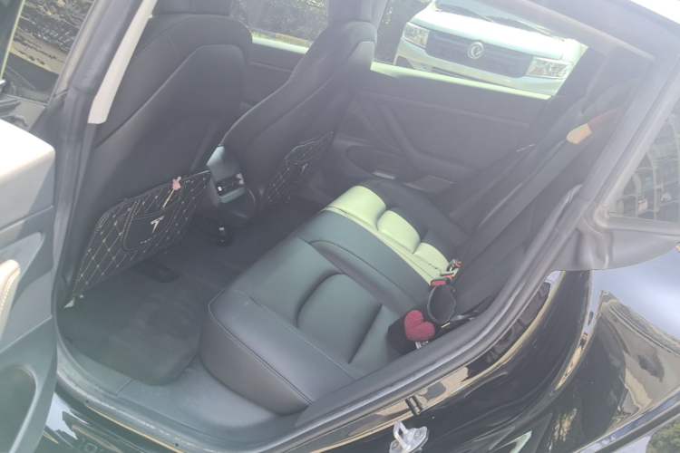 Used Tesla Model 3 2020 Revised Version Standard Range Rear-Wheel Drive – Upgraded Edition Left Rear Seat