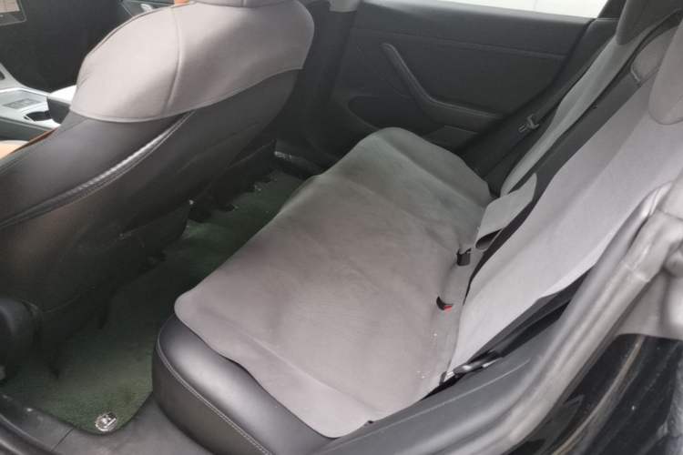 Used Tesla Model 3 2020 Standard Range Rear-Wheel Drive Upgraded Version Left Rear Seat