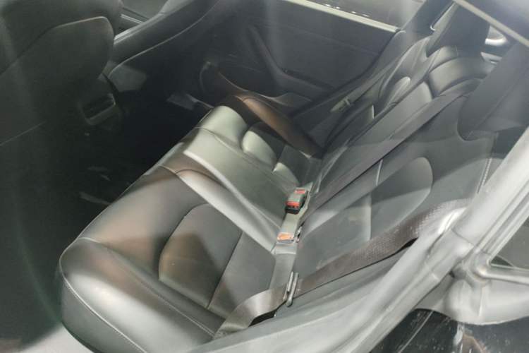 Used Tesla Model 3 2020 Refreshed Version Long-Range Rear-Wheel Drive Left Rear Seat