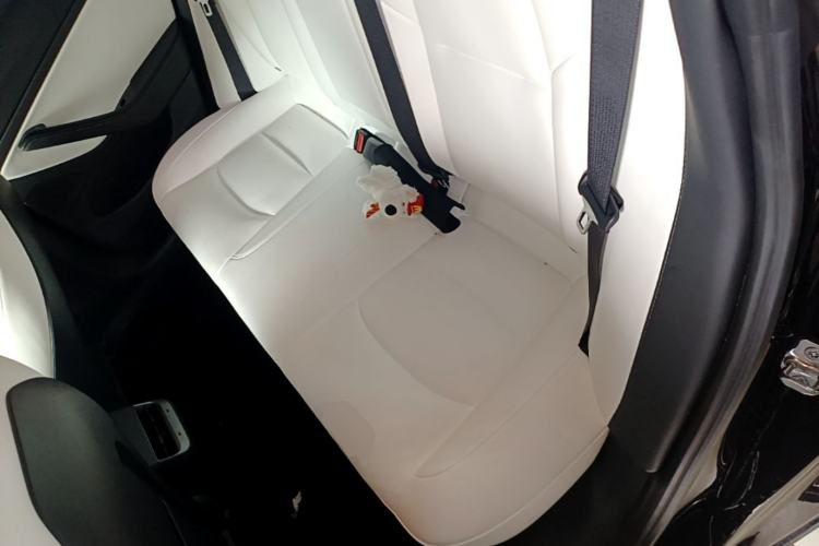 Used Tesla Model 3 2020 Standard Range Rear-Wheel Drive Upgraded Version Left Rear Seat