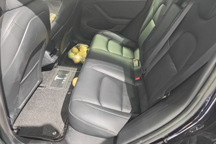 Used Tesla Model 3 2020 Revised Version Standard Range Rear-Wheel Drive – Upgraded Edition Left Rear Seat
