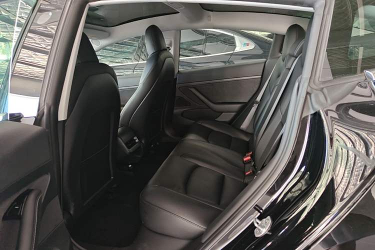 Used Tesla Model 3 2020 Standard Range Rear-Wheel Drive Upgraded Version Left Rear Seat