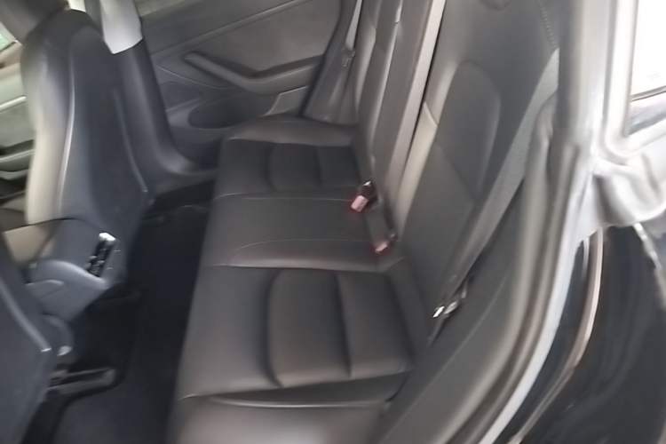 Used Tesla Model 3 2020 Refreshed Version Long-Range Rear-Wheel Drive Left Rear Seat