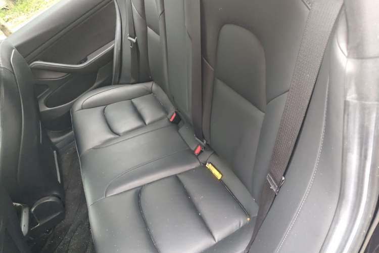 Used Tesla Model 3 2020 Standard Range Rear-Wheel Drive Upgraded Version Left Rear Seat