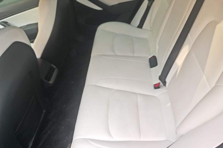 Used Tesla Model 3 2020 Standard Range Rear-Wheel Drive Upgraded Version Left Rear Seat