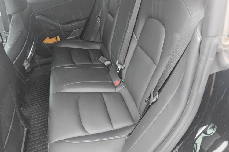 Used Tesla Model 3 2020 Revised Version Standard Range Rear-Wheel Drive – Upgraded Edition Left Rear Seat