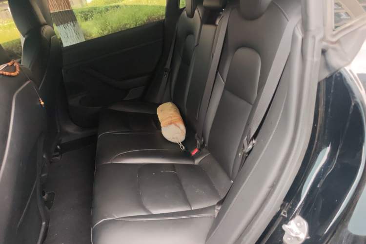 Used Tesla Model 3 2020 Standard Range Rear-Wheel Drive Upgraded Version Left Rear Seat