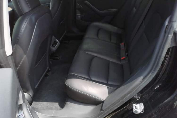 Used Tesla Model 3 2020 Standard Range Rear-Wheel Drive Upgraded Version Left Rear Seat