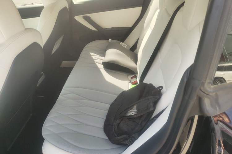Used Tesla Model 3 2020 Standard Range Rear-Wheel Drive Upgraded Version Left Rear Seat