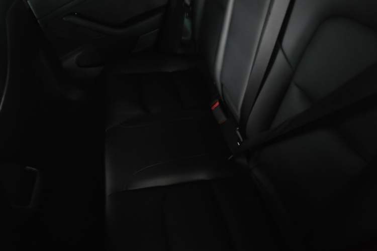 Used Tesla Model 3 2020 Standard Range Rear-Wheel Drive Upgraded Version Left Rear Seat