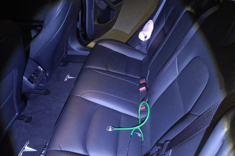 Used Tesla Model 3 2020 Revised Version Standard Range Rear-Wheel Drive – Upgraded Edition Left Rear Seat