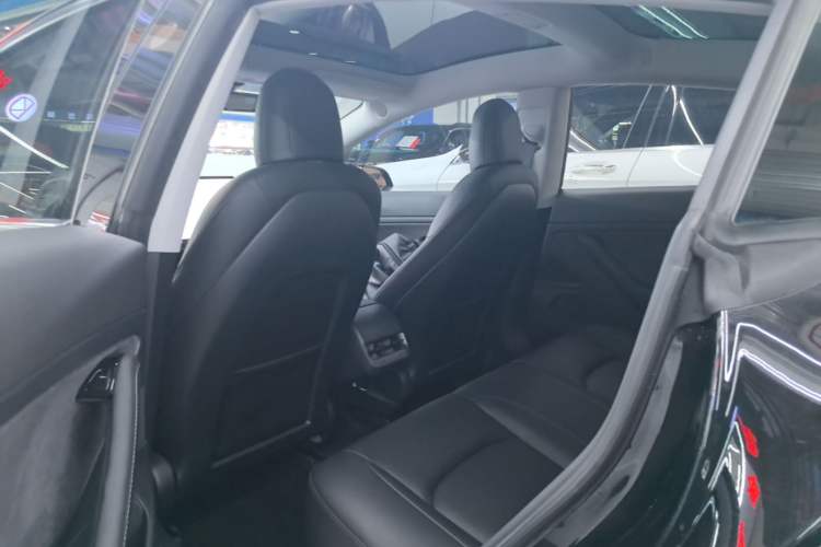Used Tesla Model 3 2020 Standard Range Rear-Wheel Drive Upgraded Version Left Rear Seat
