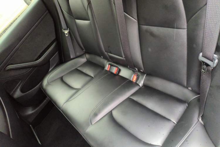 Used Tesla Model 3 2020 Standard Range Rear-Wheel Drive Upgraded Version Left Rear Seat
