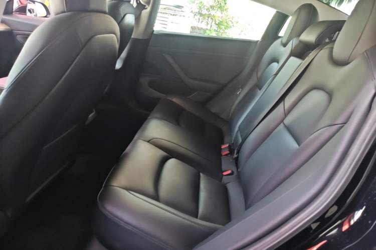 Used Tesla Model 3 2020 Revised Version Standard Range Rear-Wheel Drive – Upgraded Edition Left Rear Seat