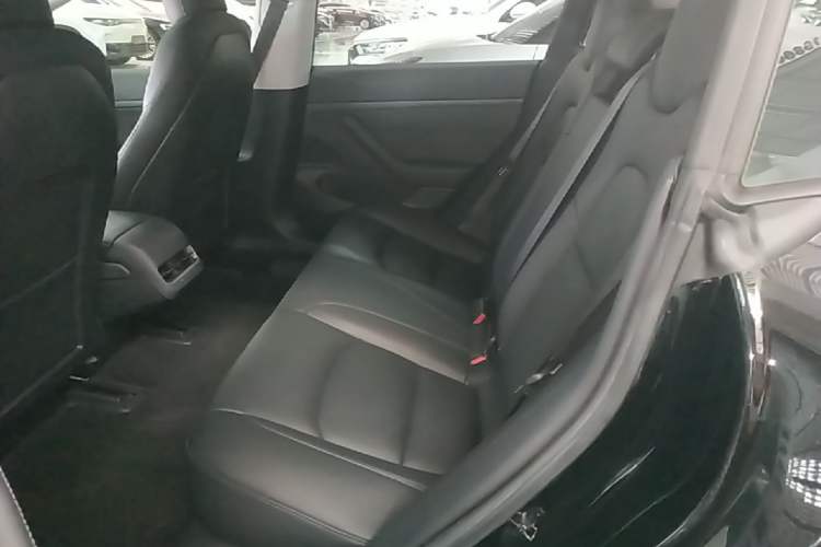 Used Tesla Model 3 2020 Standard Range Rear-Wheel Drive Upgraded Version Left Rear Seat