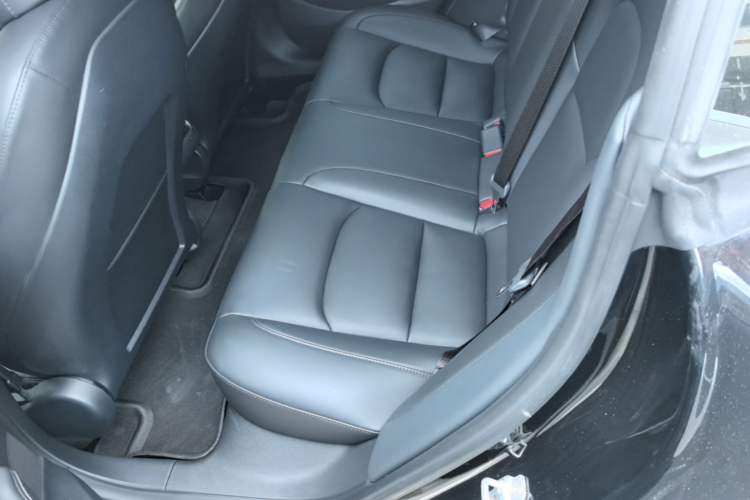 Used Tesla Model 3 2020 Standard Range Rear-Wheel Drive Upgraded Version Left Rear Seat