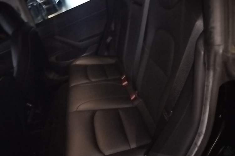 Used Tesla Model 3 2020 Revised Version Standard Range Rear-Wheel Drive – Upgraded Edition Left Rear Seat