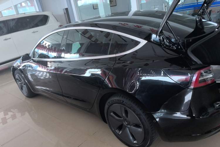 Used Tesla Model 3 2020 Revised Version Standard Range Rear-Wheel Drive – Upgraded Edition Left Side