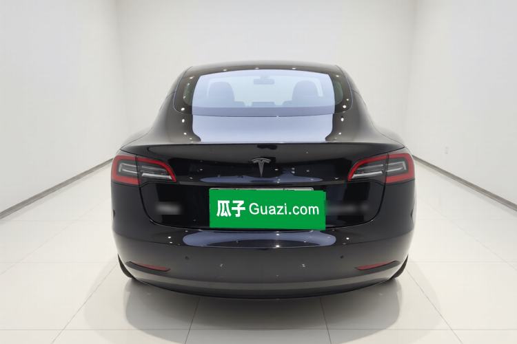 Used Tesla Model 3 2020 Standard Range Rear-Wheel Drive Upgraded Version Rear
