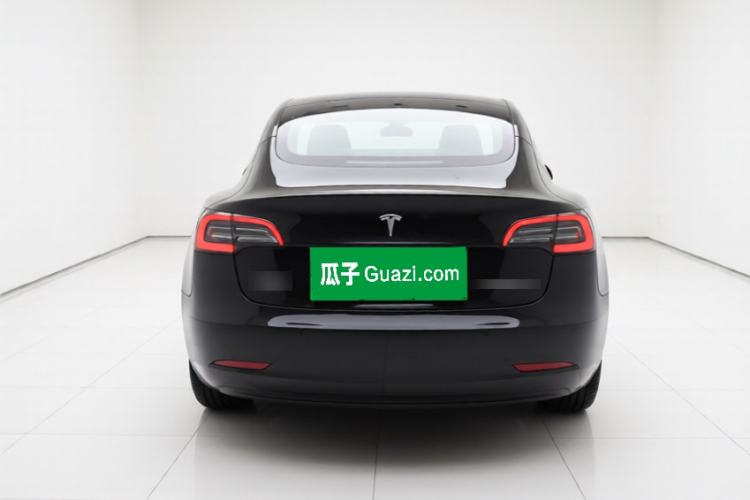 Used Tesla Model 3 2020 Standard Range Rear-Wheel Drive Upgraded Version Rear