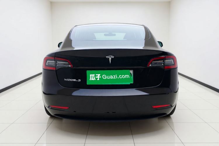 Used Tesla Model 3 2020 Standard Range Rear-Wheel Drive Upgraded Version Rear