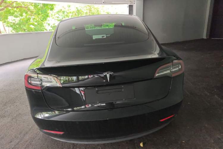 Used Tesla Model 3 2020 Standard Range Rear-Wheel Drive Upgraded Version Rear